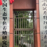 常德汉寿县中国生态甲鱼养殖研究院挂牌成立