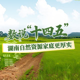 数说“十四五”丨湖南自然资源家底更厚实