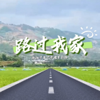路过我家｜渔罗公路：铺在田野上的“民生答卷”