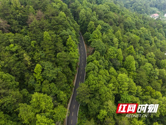 微信图片_20251205084836_816_334.marked.jpg 微信图片_20251205084836_816_334.marked.jpg