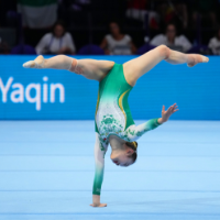 湖南体育经验交流④省体操中心:同心同力同担当,携手奋进创辉煌