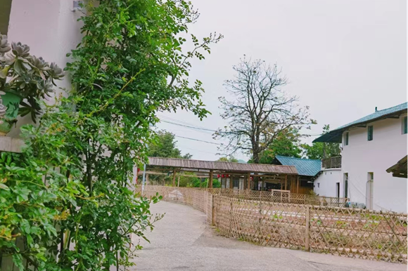 川山村农村人居环境整治提升创建美丽庭院.png