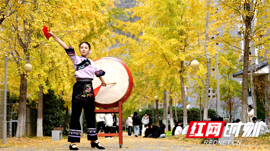 校园银杏路苗鼓教学表演 刘知行 摄.png