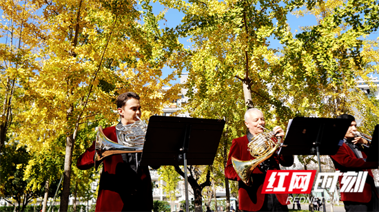 户外音乐会现场 李昊 摄.png