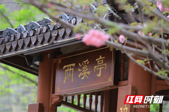 袁灵芳 (3).jpg