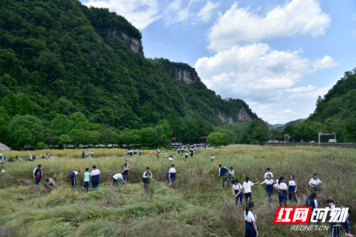 DSC_4250_副本2.jpg