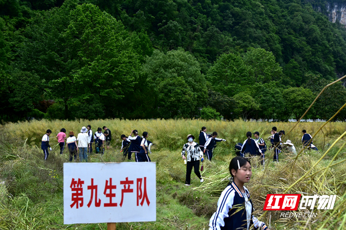 DSC_4252_副本2.jpg