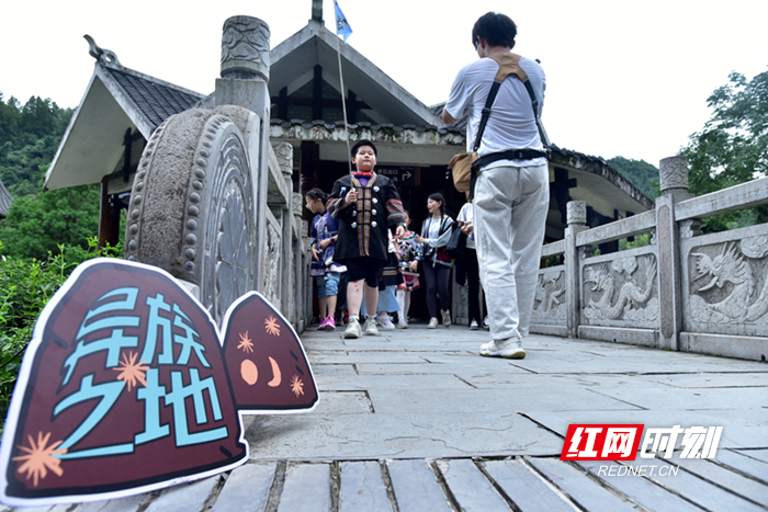 DSC_6493_副本2.jpg