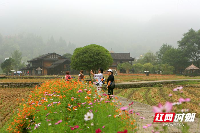 925A5908_副本2.jpg