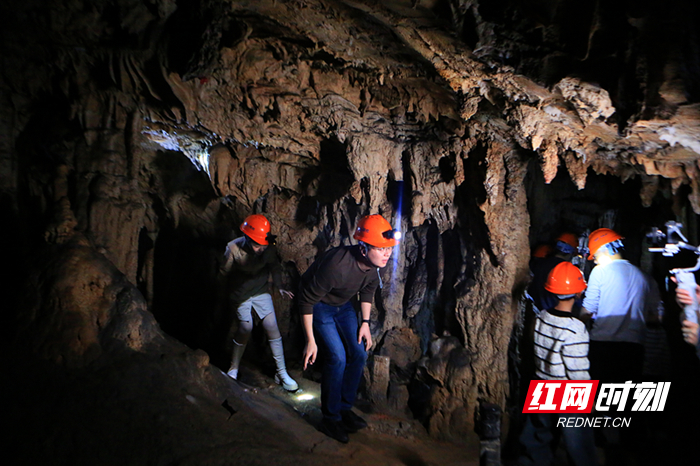 925A4483_副本2.jpg 925A4483_副本2.jpg