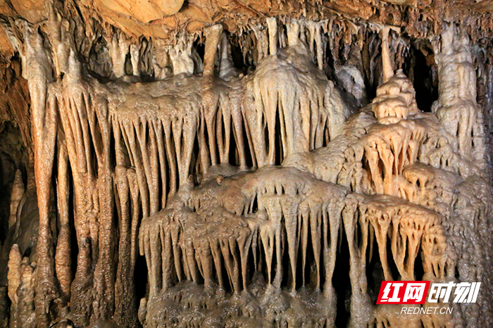 925A1964_副本2.jpg 925A1964_副本2.jpg