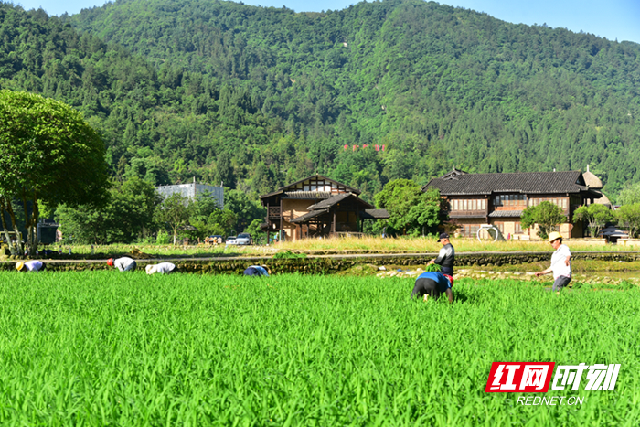 DSC_2317_副本2.jpg DSC_2317_副本2.jpg