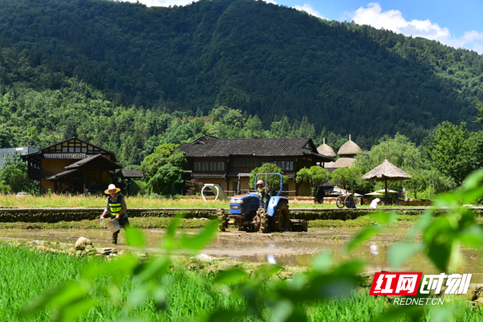 DSC_2277_副本2.jpg DSC_2277_副本2.jpg