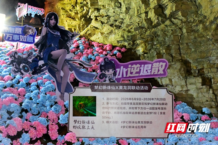 DSC_2534_副本2.jpg DSC_2534_副本2.jpg