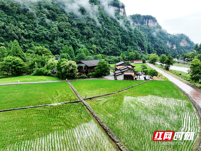 DJI_0794_副本2.jpg DJI_0794_副本2.jpg