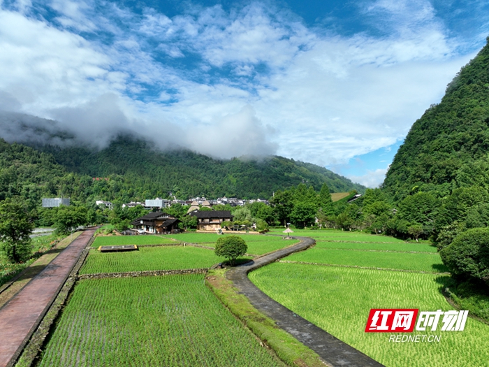 DJI_0850_副本2.jpg DJI_0850_副本2.jpg
