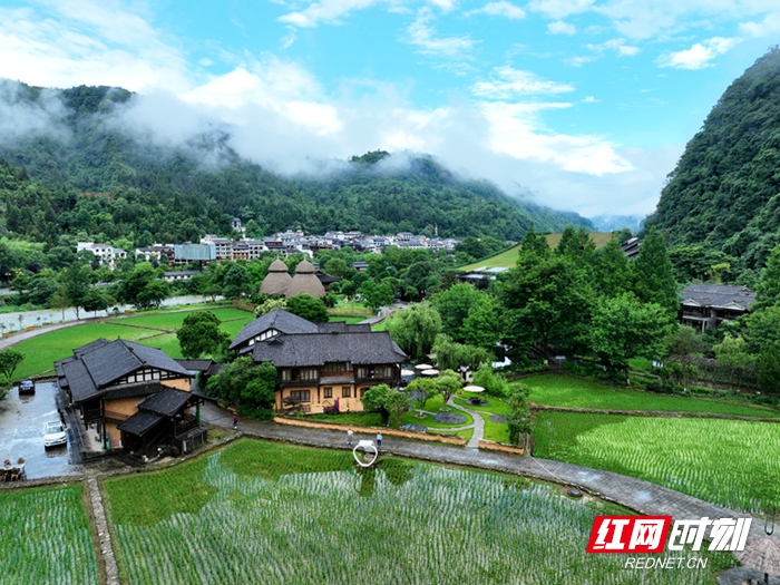 DJI_0810_副本2.jpg DJI_0810_副本2.jpg