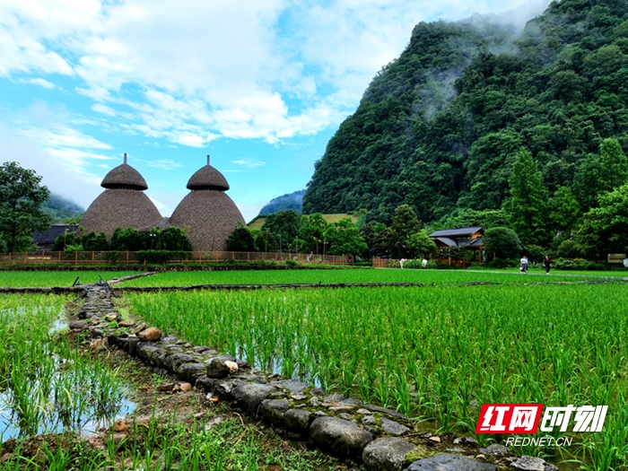 DJI_0803_副本2.jpg DJI_0803_副本2.jpg