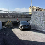 小切口解决大民生 竹园坪村“逆行难题”变“民心通道”