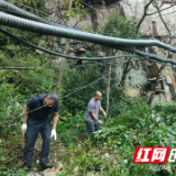 2025XTERRA 越野跑世界系列赛(武陵源站)开赛在即 赛道加紧施工