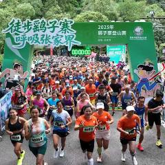 山水为台 多元竞辉——这个金秋，张家界文旅盛宴全景展现