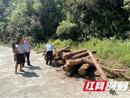慈利县二坊坪镇：深耕执法规范化建设 连续两年获评全县行政执法优秀案卷
