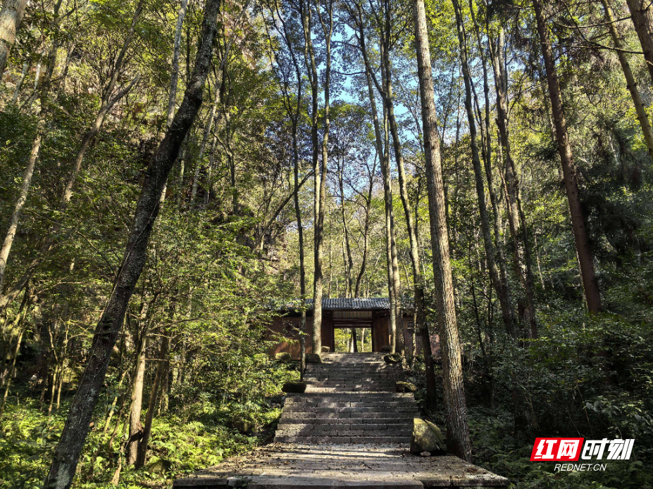 张家界国家森林公园：雨后初晴 捡拾秋之余韵
