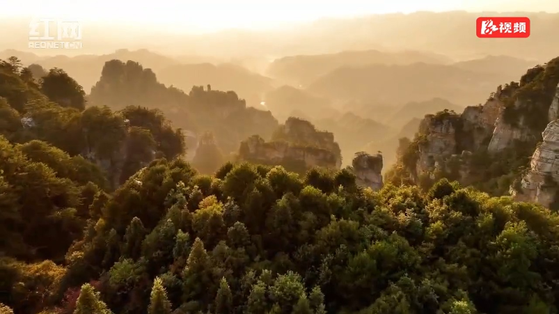 航拍杨家界：峰墙云海映日出 仙境画卷震撼呈现