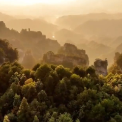 航拍杨家界:峰墙云海映日出 仙境画卷震撼呈现