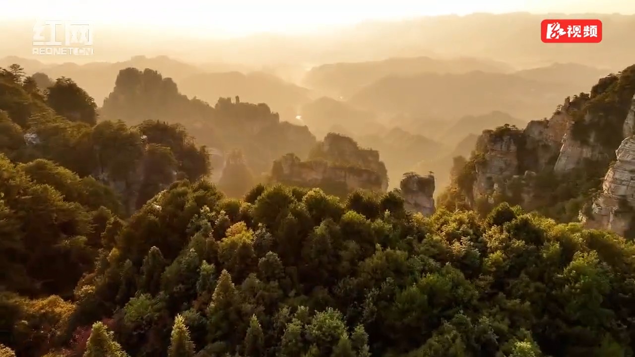 峰墙云海映日出 仙境画卷震撼呈现