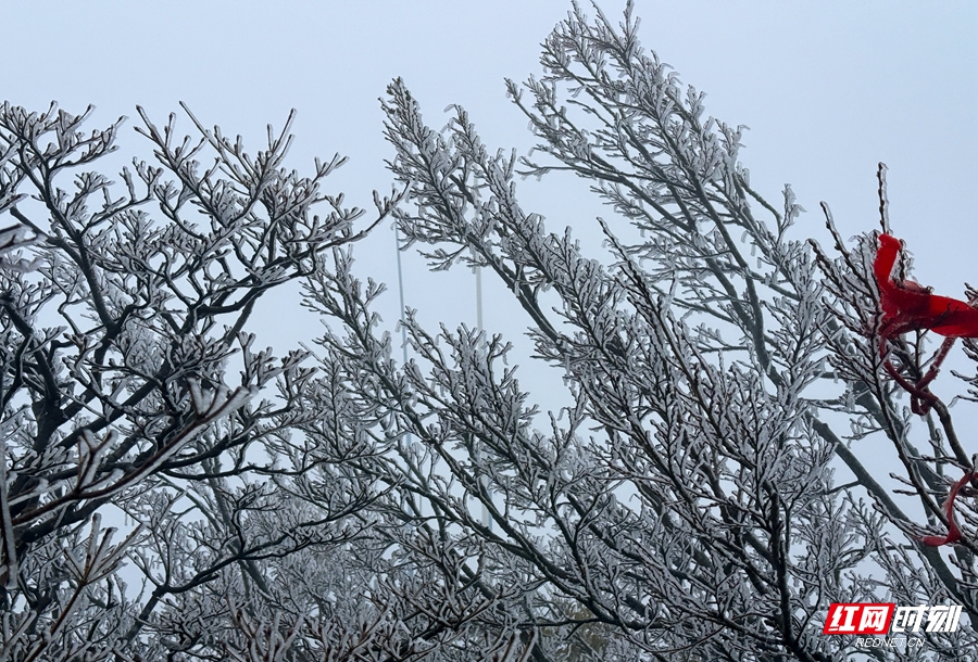 微信图片_20251117162547_164_4_副本.jpg 微信图片_20251117162547_164_4_副本.jpg