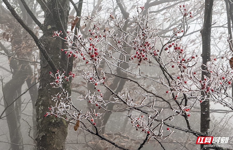 微信图片_20251117160611_434_430_副本.jpg 微信图片_20251117160611_434_430_副本.jpg