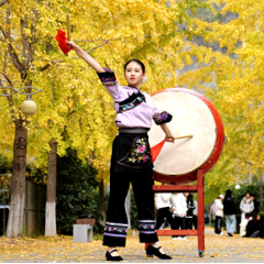 银杏树下奏响美育新篇 张家界学院“树下”美育项目开启环境育人新实践