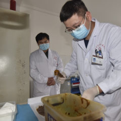 张家界市科学技术协会第七次代表大会代表符朝程:科技赋能,让中医“潮”起来