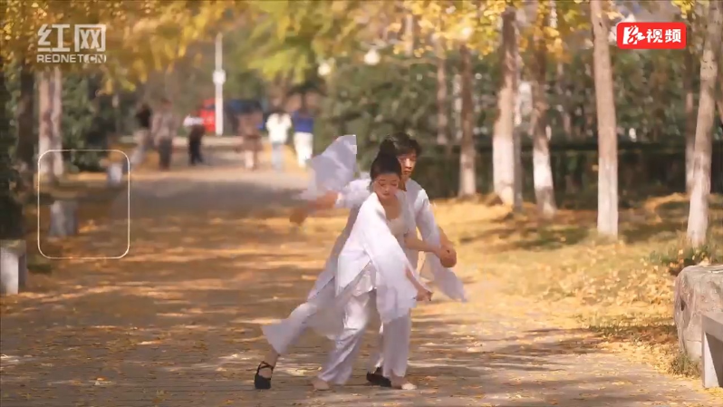 银杏为幕 乐舞传情 张家界学院 “树下美育” 演绎经典