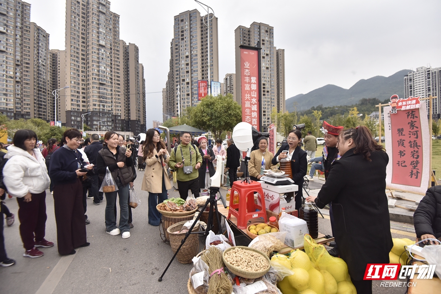 微信图片_20251104154506_210_460_副本.jpg 微信图片_20251104154506_210_460_副本.jpg