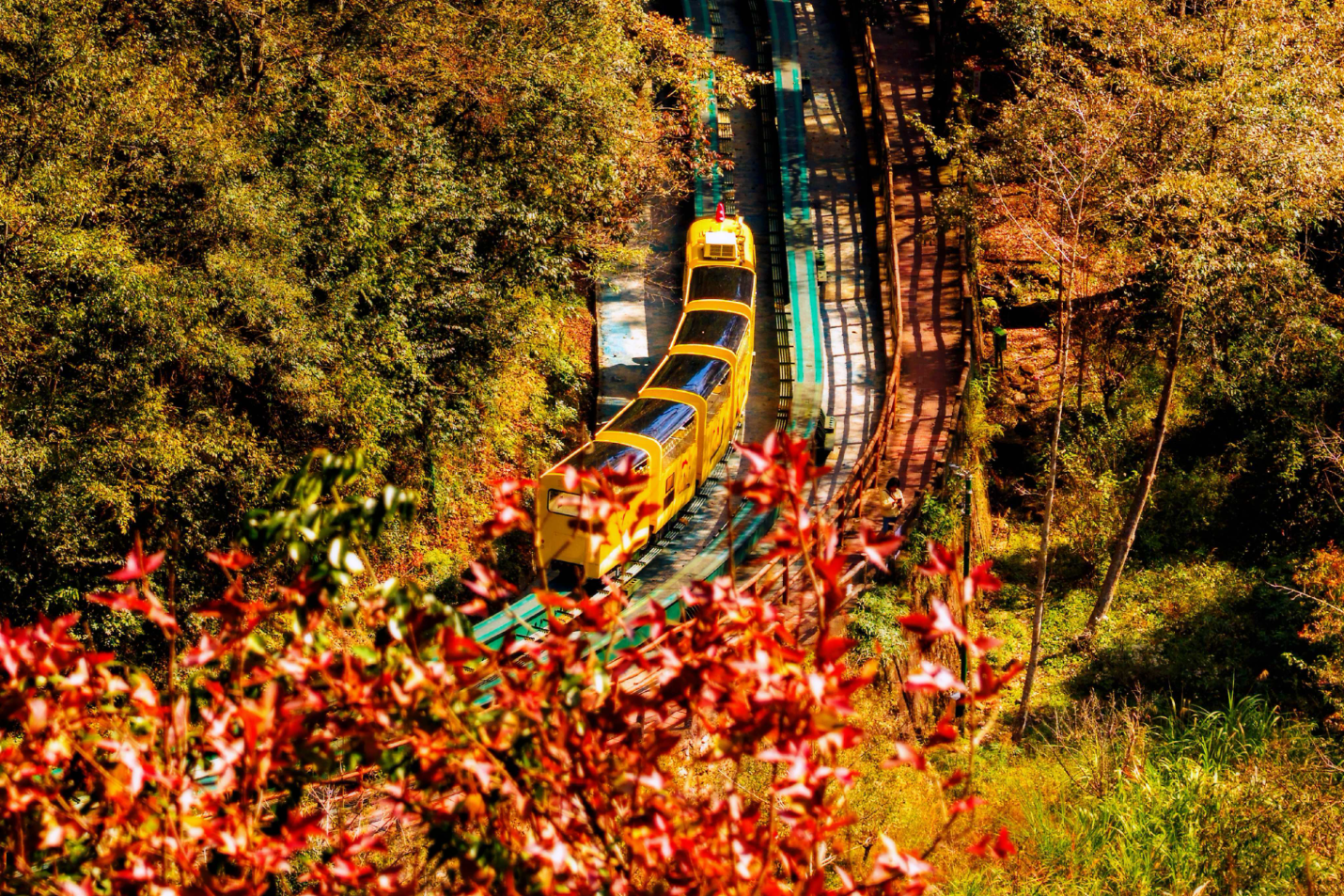 张家界十里画廊：深秋调色盘已送达，观光电车带你驶入层林尽染的童话秘境