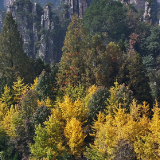 张家界国家森林公园:多彩调色盘 林海焕新颜