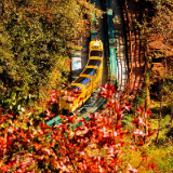 张家界十里画廊:深秋调色盘已送达,观光电车带你驶入层林尽染的童话秘境