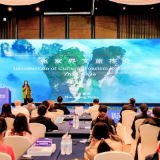 双城联动 共拓客源:重庆携手张家界共筑入境旅游新高地