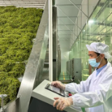 张家界市永定区一产业集群首获省级荣誉