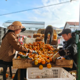 慈利县:富硒柑橘飘香 乡村振兴谱新篇
