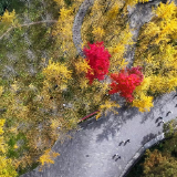 雨转晴!张家界11日起迎6天连晴模式,文旅农业“黄金窗口”开启