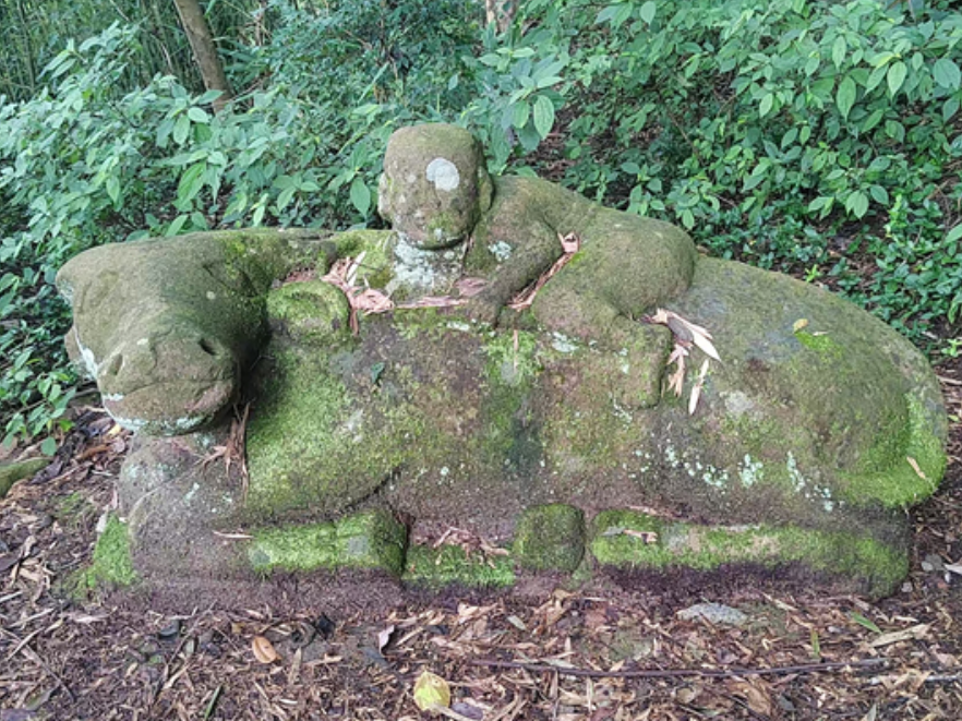 美文欣赏｜黄河村的石牛