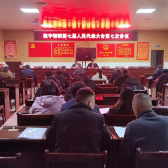 永定区教字垭镇召开第七届人民代表大会第七次会议