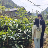 桑植县五道水镇：立足监督职能  护航乡村振兴