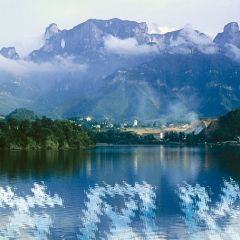 海报 | 绿水青山映初心——张家界2025生态答卷！