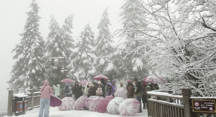 张家界国家森林公园初雪至：银装裹奇峰，游客雪中乐游