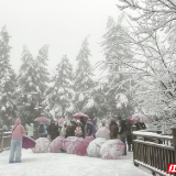 张家界国家森林公园初雪至：银装裹奇峰，游客雪中乐游