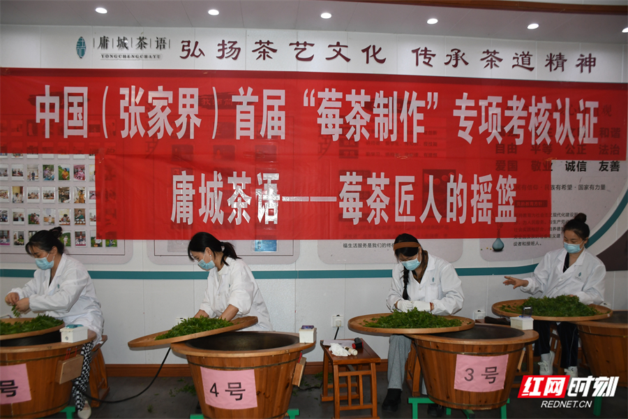张家界启动首届“莓茶制作”专项认证